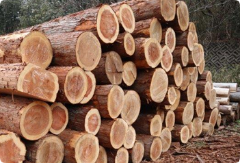 こだわり｜村山林業株式会社